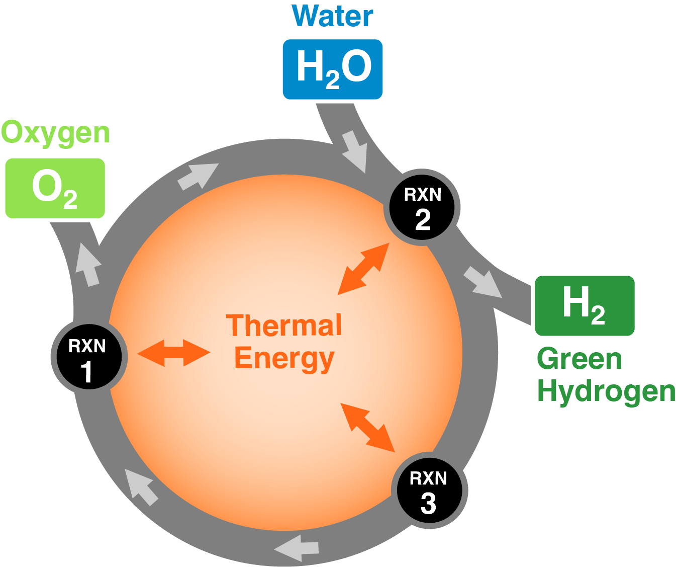 HGenium Process Diagram